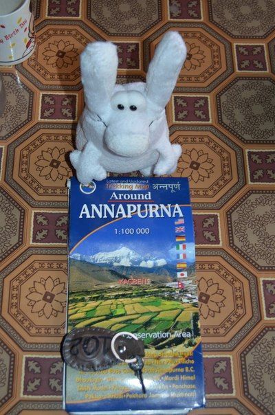 Путешествие зайчика в Гималаи на Торунг Ла Пас 5416 м