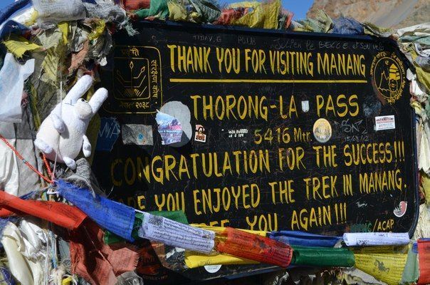 Путешествие зайчика в Гималаи на Торунг Ла Пас 5416 м